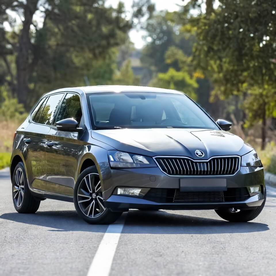 Skoda Fabia 1.0 TSI Kronik Sorunları