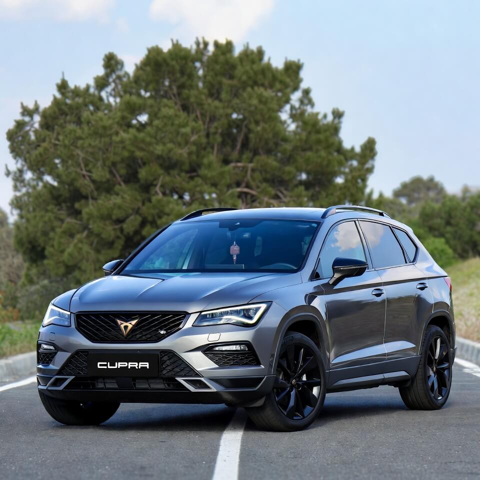 Cupra Ateca 1.5 TSI Kronik Sorunları
