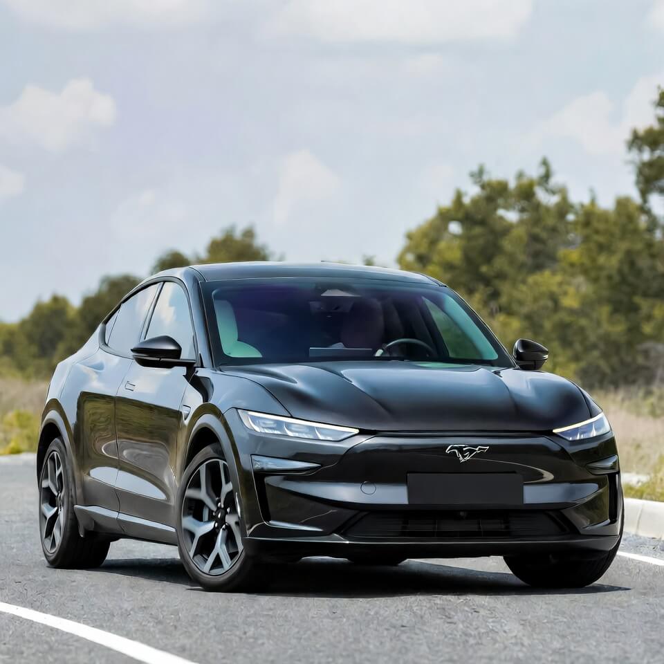 Ford Mustang Mach-E Kronik Sorunları