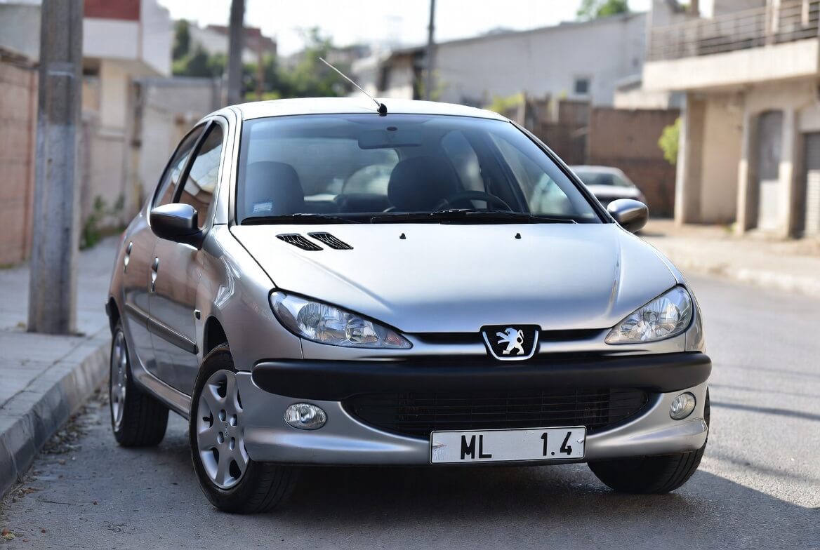 Peugeot 206 1.4 Kronik Sorunları