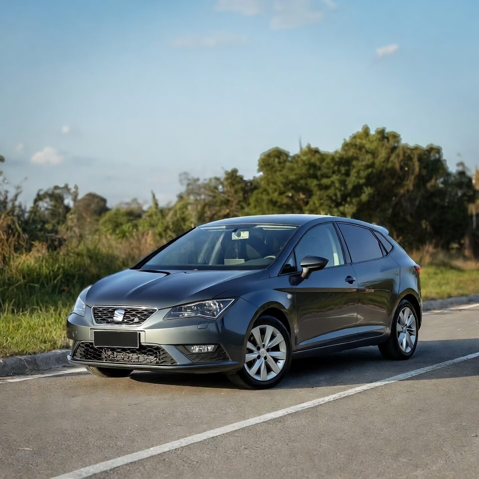 Seat Exeo 1.6 Kronik Sorunları